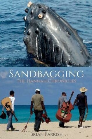 Cover of Sandbagging