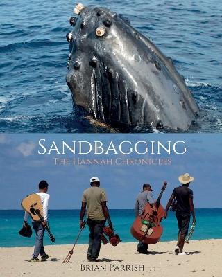 Book cover for Sandbagging