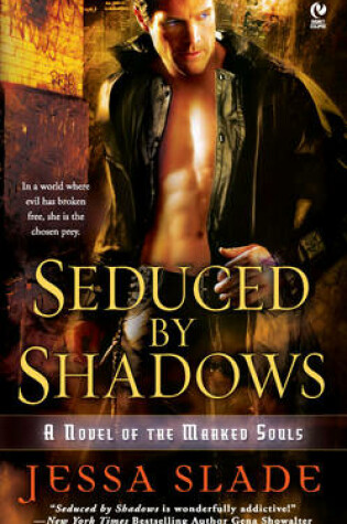 Cover of Seduced By Shadows