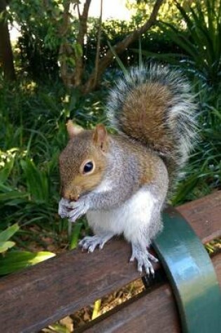 Cover of Cute Squirrel on a Park Bench Journal