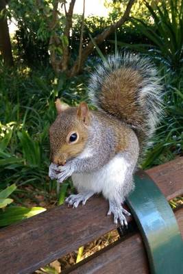 Book cover for Cute Squirrel on a Park Bench Journal