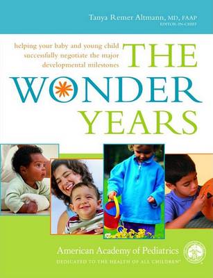 Book cover for The Wonder Years