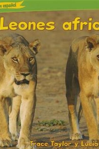 Cover of Leones Africanos