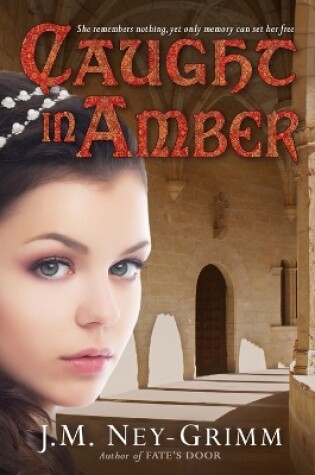 Cover of Caught in Amber