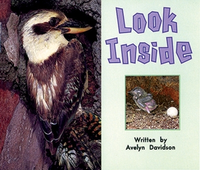 Book cover for Look Inside (19)