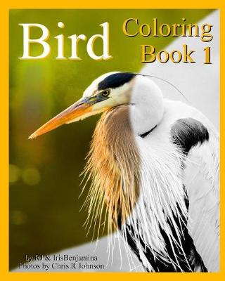 Book cover for Bird Coloring Book 1