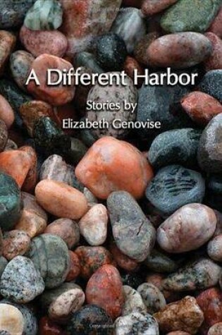 Cover of A Different Harbor