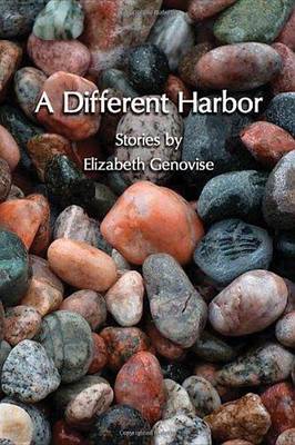 Book cover for A Different Harbor