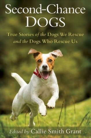 Cover of Second-Chance Dogs