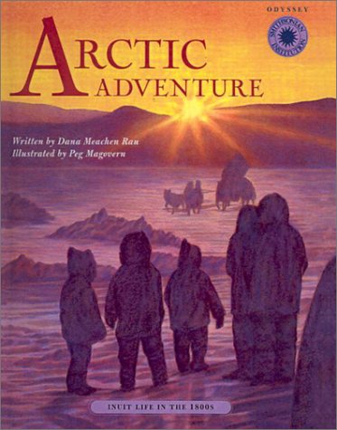 Book cover for Artic Adventure