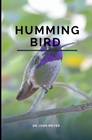 Cover of Humming Bird