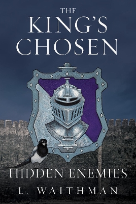 Book cover for Hidden Enemies