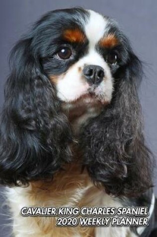 Cover of Cavalier King Charles Spaniel 2020 Weekly Planner