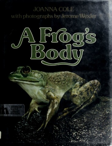 Book cover for A Frog's Body
