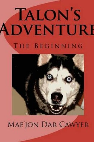 Cover of Talon's Adventure