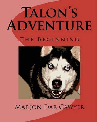 Book cover for Talon's Adventure