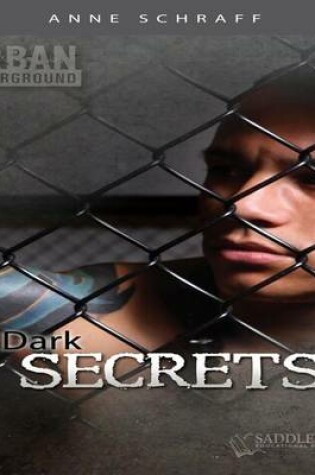 Cover of Dark Secrets Audio