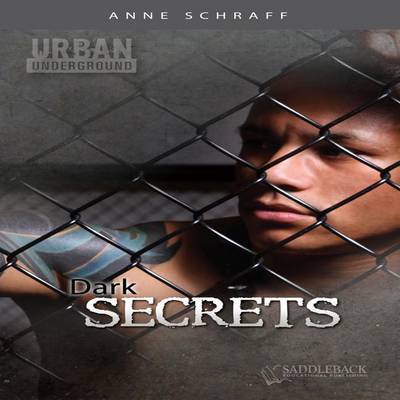 Book cover for Dark Secrets Audio