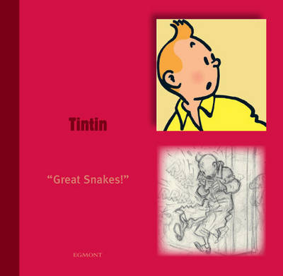 Book cover for Tintin