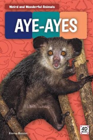 Cover of Weird and Wonderful Animals: Aye-Ayes