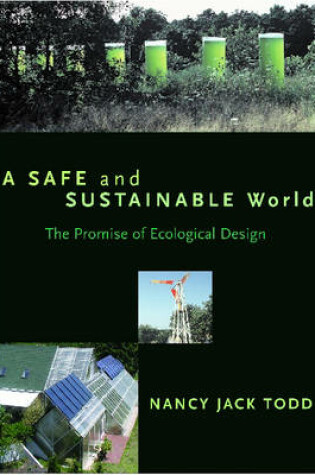 Cover of A Safe and Sustainable World