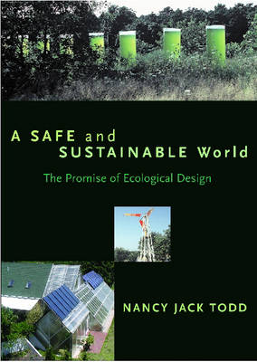 Book cover for A Safe and Sustainable World