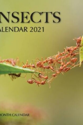 Cover of Insects Calendar 2021
