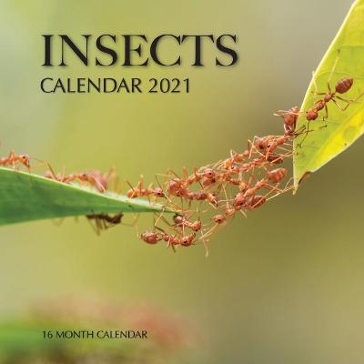 Book cover for Insects Calendar 2021