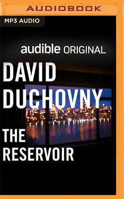 Book cover for The Reservoir