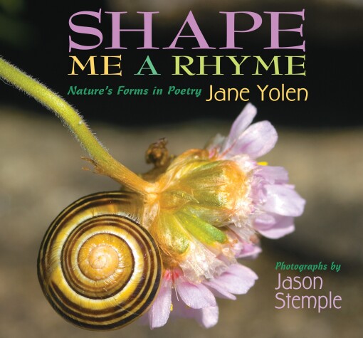 Book cover for Shape Me a Rhyme