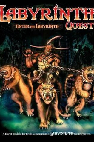 Cover of Enter the Labyrinth