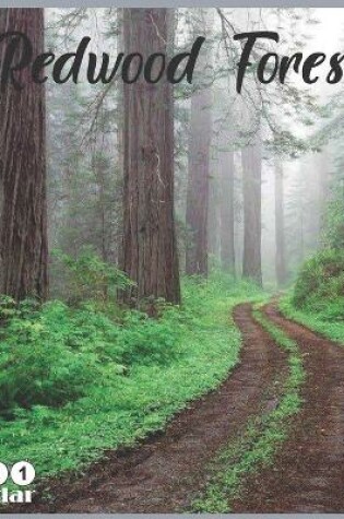 Cover of Redwood Forest 2021 Calendar
