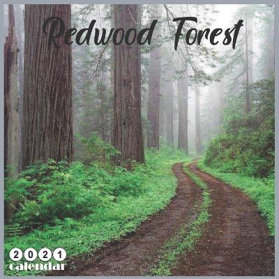 Book cover for Redwood Forest 2021 Calendar