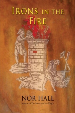 Cover of Irons in the Fire