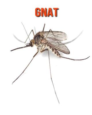 Book cover for Gnat