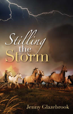 Book cover for Stilling the Storm