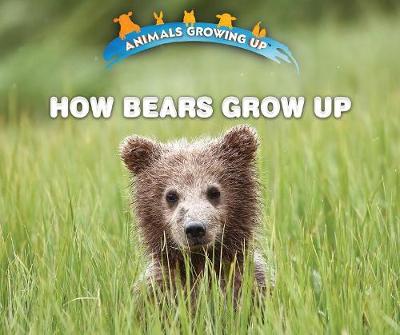 Cover of How Bears Grow Up