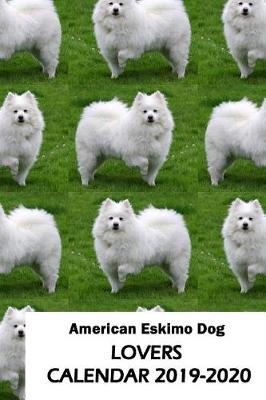 Book cover for American Eskimo Dog Lovers Calendar 2019-2020