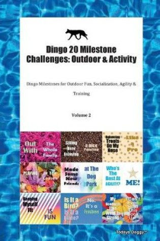 Cover of Dingo 20 Milestone Challenges