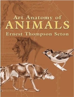 Book cover for Art Anatomy of Animals