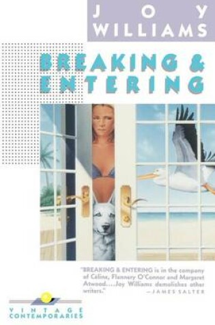 Cover of Breaking and Entering