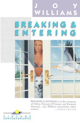 Cover of Breaking and Entering