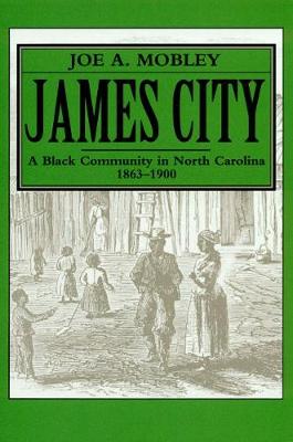 Book cover for James City