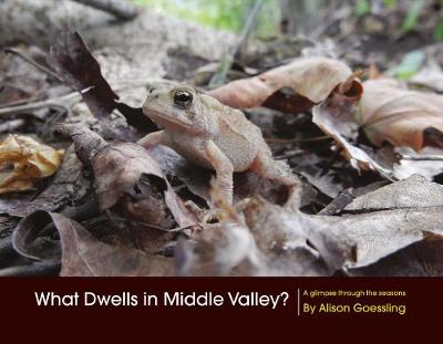 Cover of What Dwells in Middle Valley?