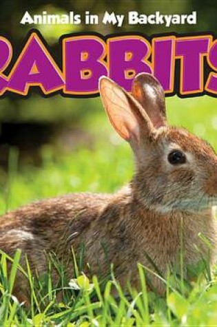 Cover of Rabbits with Code