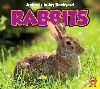 Book cover for Rabbits with Code