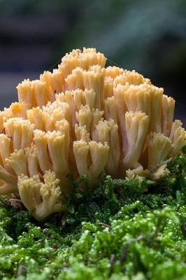 Book cover for Coral Fungi Mushroom in Autumn Journal