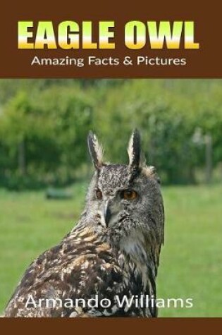 Cover of Eagle Owl