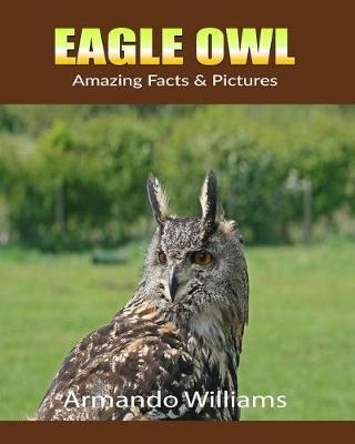 Book cover for Eagle Owl