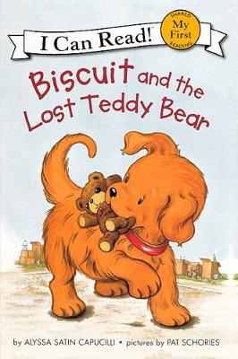 Book cover for Biscuit and the Lost Teddy Bear